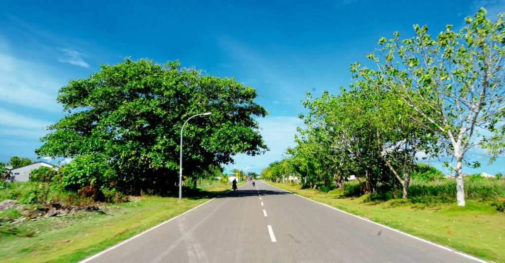 罰金を避けるための自転車安全運転と意識改革のポイントを図解した安全啓発イメージ