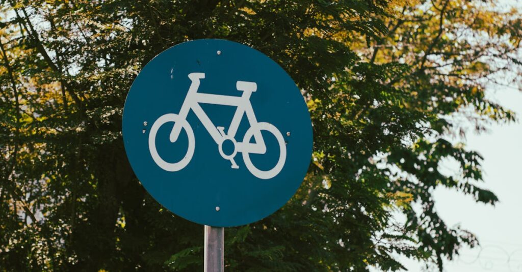 歩行者・自転車・自動車が安全に共存する交通社会をイメージしたイラスト。道路空間の調和を示す。