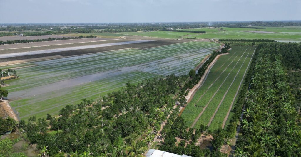自転車の信号無視の説明