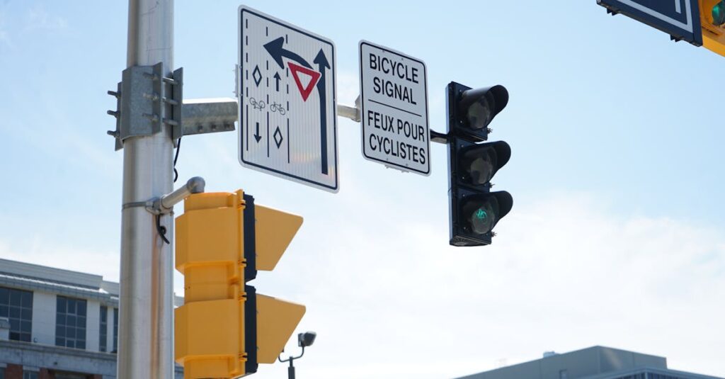 自転車の信号無視の説明